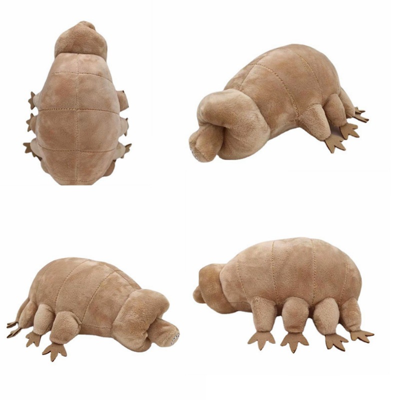跨境新品tardigrade仿真虫子最强海洋生物水熊虫毛绒玩具公仔礼物