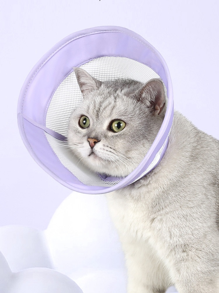 宠物伊丽莎白圈加深轻薄猫咪防舔伊莉莎白头套透气防咬耻辱圈脖套
