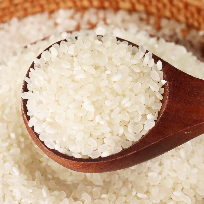 东北大米10斤免淘洗蟹田生态米盘锦大米米粳稻米农家自产珍珠大米