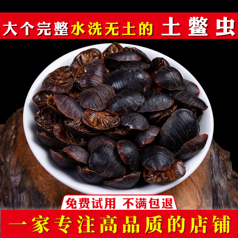 土元500g克 土鳖虫中药 个大地鳖虫干土元节节虫 中草药材-阿里巴巴