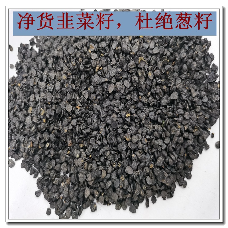 韭菜籽 韭菜子 杜绝葱籽 千珍中药材 支持检验 可开发票-阿里巴巴