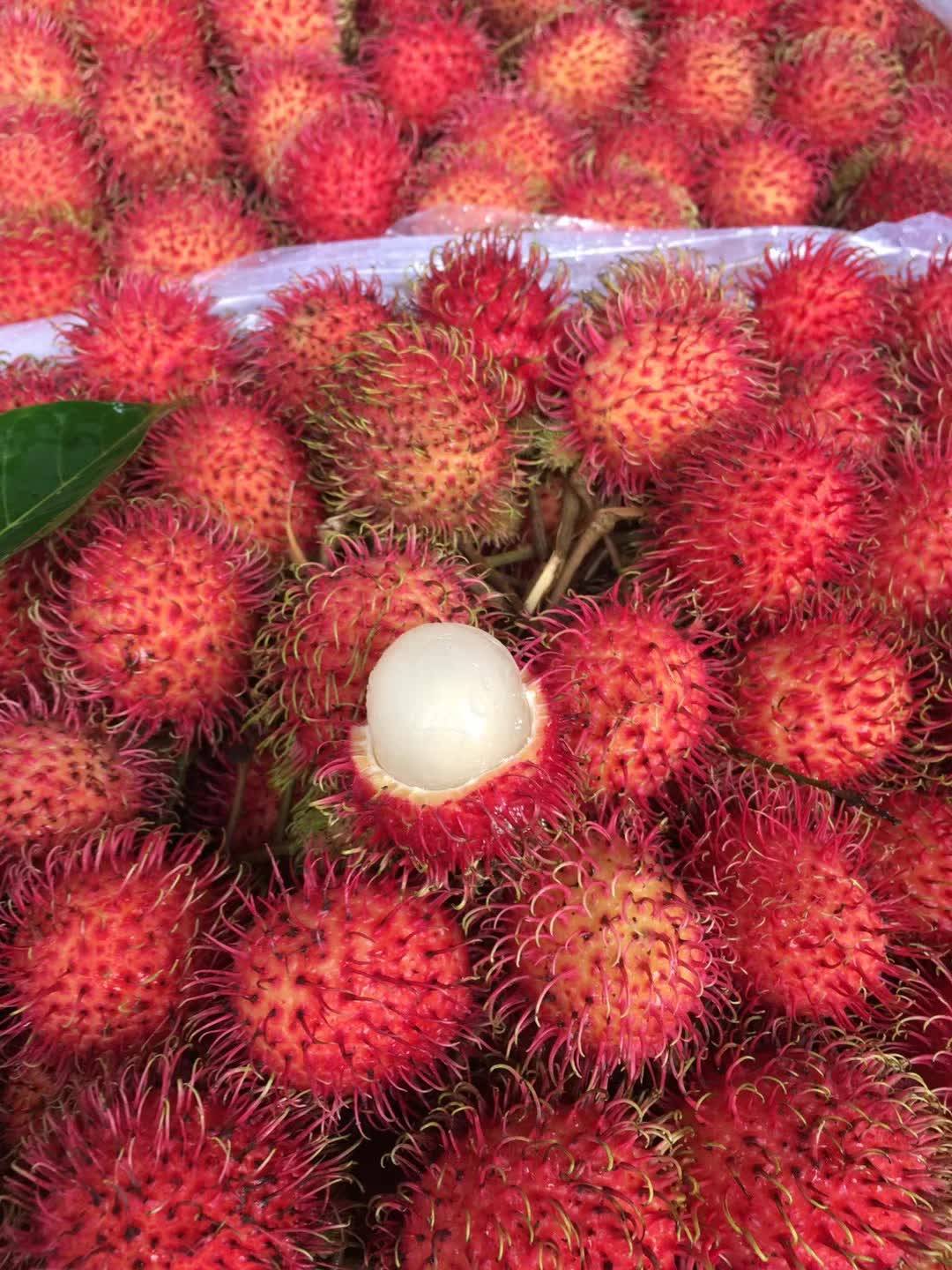 现货海南红毛丹净5斤整箱现摘新鲜水果包邮毛荔枝孕妇当季水果甜