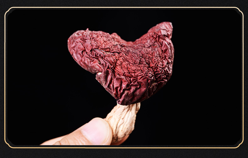 云南景东大红菌干货红蘑菇红菇菌干货散装食用菌煲汤食材现货批发