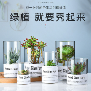 创意多肉植物花盆玻璃方形花瓶ins水培器皿玻璃高颜值可爱小花瓶