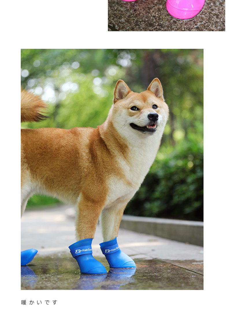 泰迪狗鞋子夏天狗狗雨鞋小狗鞋子宠物鞋遛狗鞋脚套博美比熊防水鞋