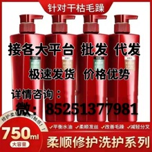 【正品授权】批发洗发水750ml水润去屑修护护发素洗发露一件代发