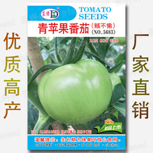 青苹果番茄种子 约100粒贼不偷西红柿种籽大果型绿色皮球柿子番茄