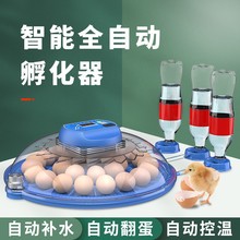 小型飞碟款孵化机迷你孵化机多功能全自动鸡鸭鹅鹌鹑鸽子孵蛋器