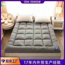 定制贴牌mattress充绒床垫羽丝绒宿舍单人软床褥子泰国榻榻米