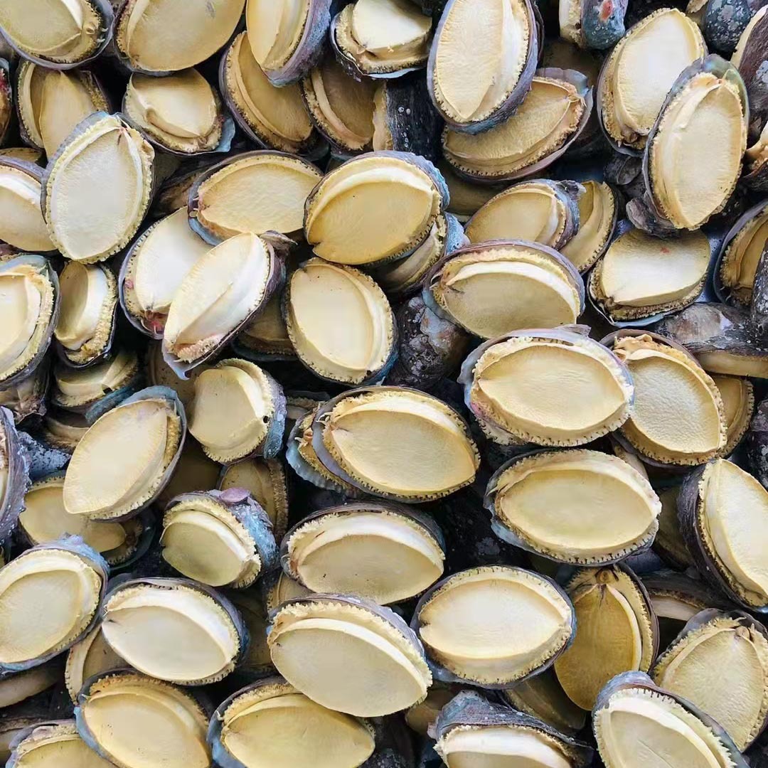 冻干鲍鱼干鲍鱼批发整件批发一件20斤对接平台走量30-50头-阿里巴巴