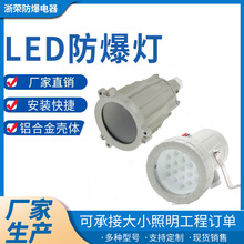 防爆视孔灯BSD96化学容器LED视孔灯12V24V36V220V反应釜视镜灯