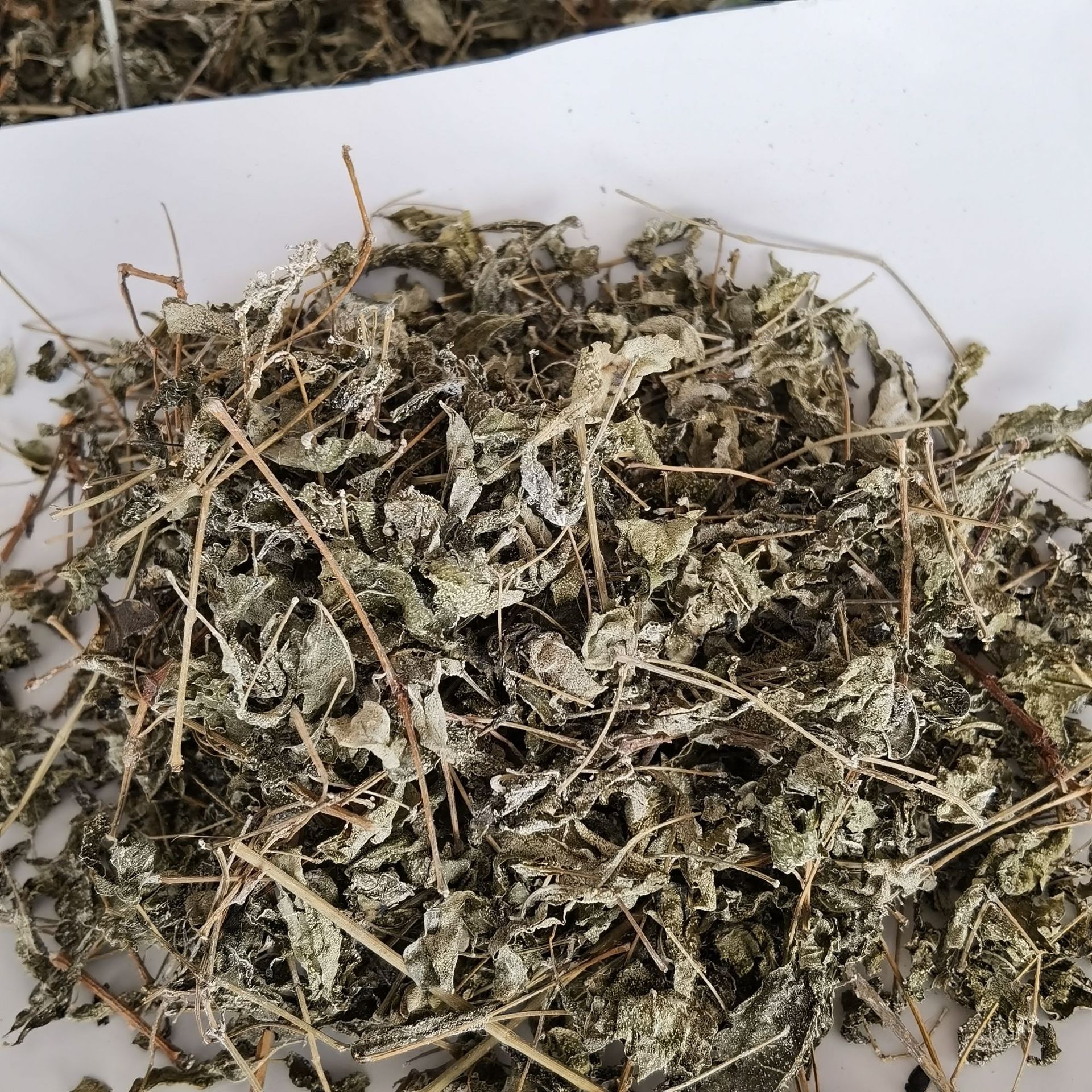 中药材溪黄草 溪黄草茶 细叶溪黄草 溪黄草叶山羊面血风草黄汁草