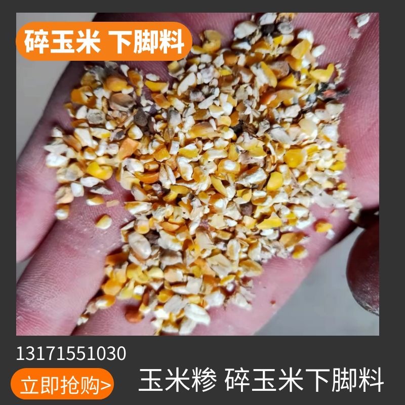 厂家现货 五谷杂粮 玉米糁 碎玉米下脚料粮食筛漏淀粉厂筛下物