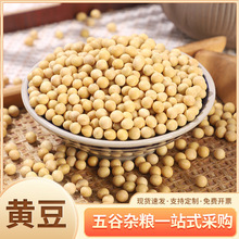 大量批发东北黄豆50斤做豆腐打豆浆专用大豆豆子散装非转基因豆类