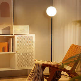 客厅落地灯超亮立式台灯落地卧室轻奢床头冷光灯led阅读墙角灯