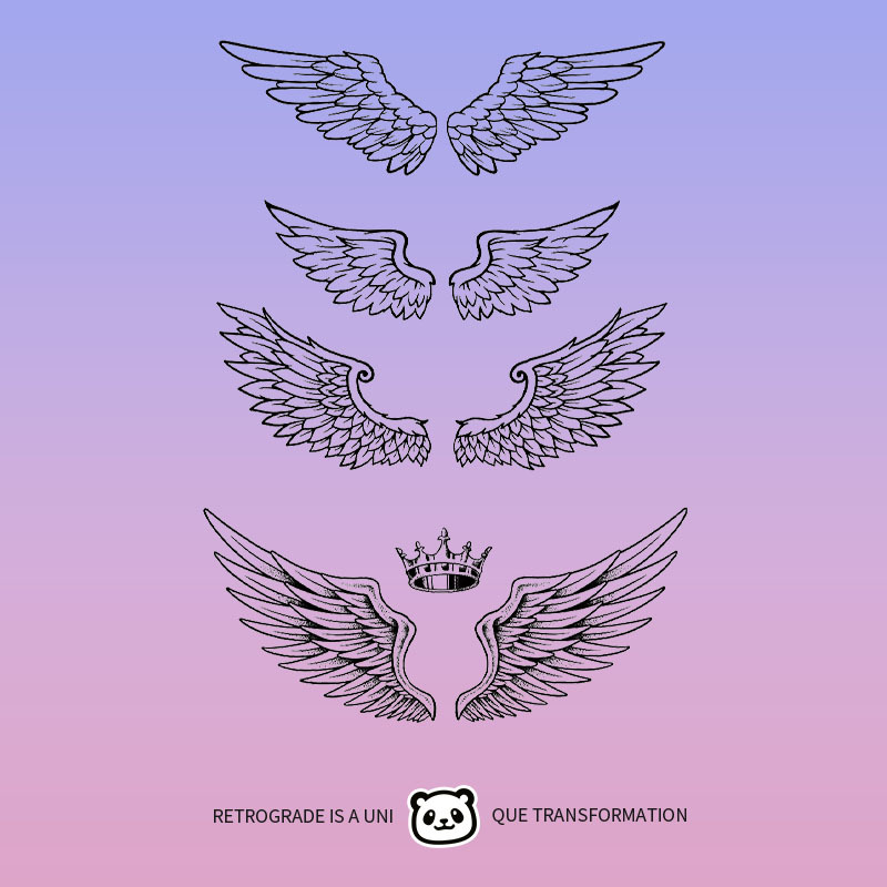 天使翅膀网红纹身贴女草本植物胸前后背防水仿真持久手臂半永久