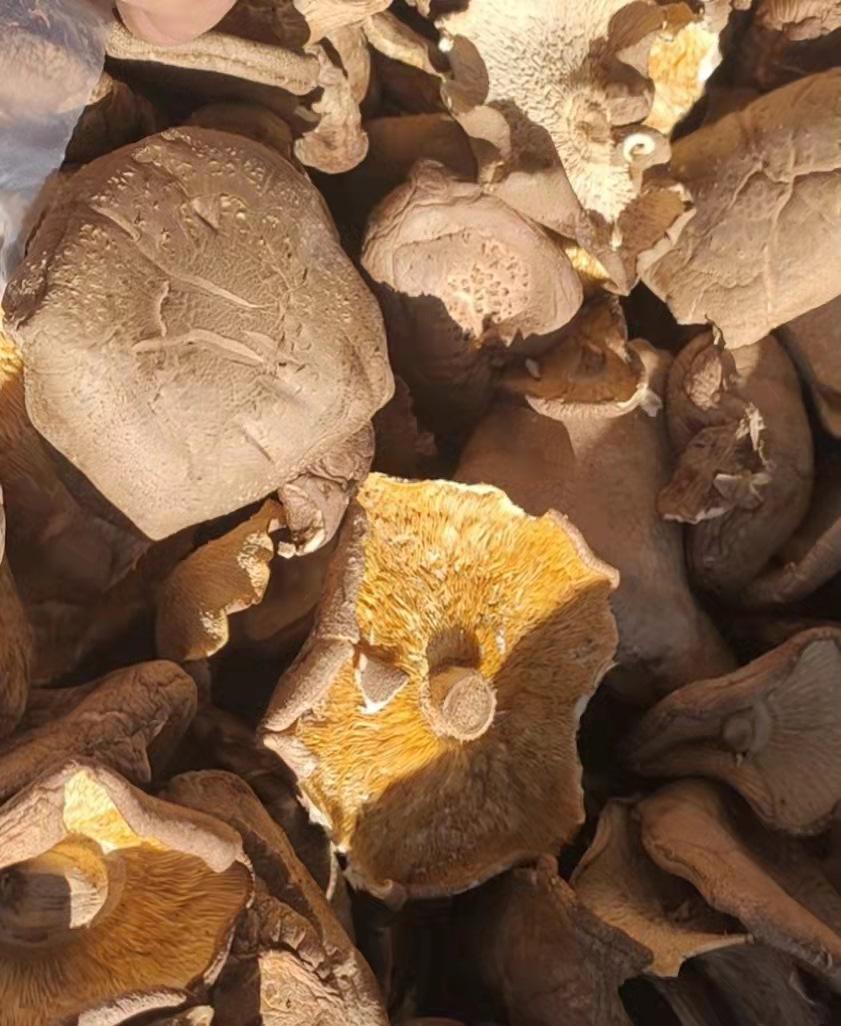 精品香菇干货西峡产地工厂直销精选大片香菇大厚菇实力工厂