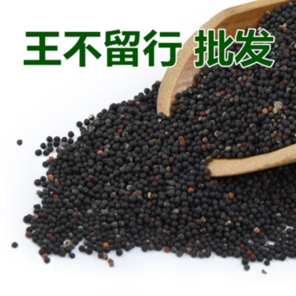 生王不留行王不留行籽包邮中药材流行子留行子正品包邮-阿里巴巴