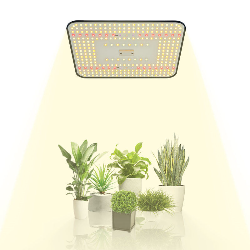 跨境100w内置驱动超薄面板LED植物生长灯种植帐篷室内植物生长灯