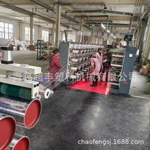 厂家供应PE地毯编织丝设备 PP/PE塑料拉丝机 PET扁丝拔丝机械