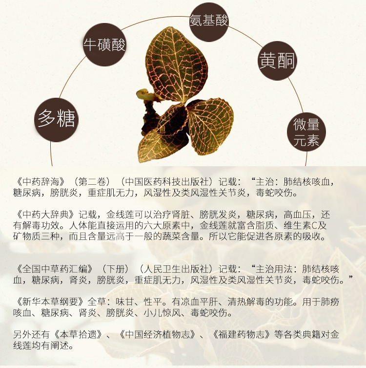 金不换植物图片功效图片