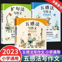 五感法写作文三到六年级小学作文素材积累方法技巧扩句法作文