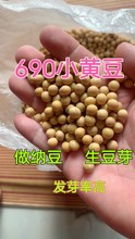 新小金黄690黄豆珍珠粒小黄豆发豆芽做纳豆打豆浆散装5小金豆500g