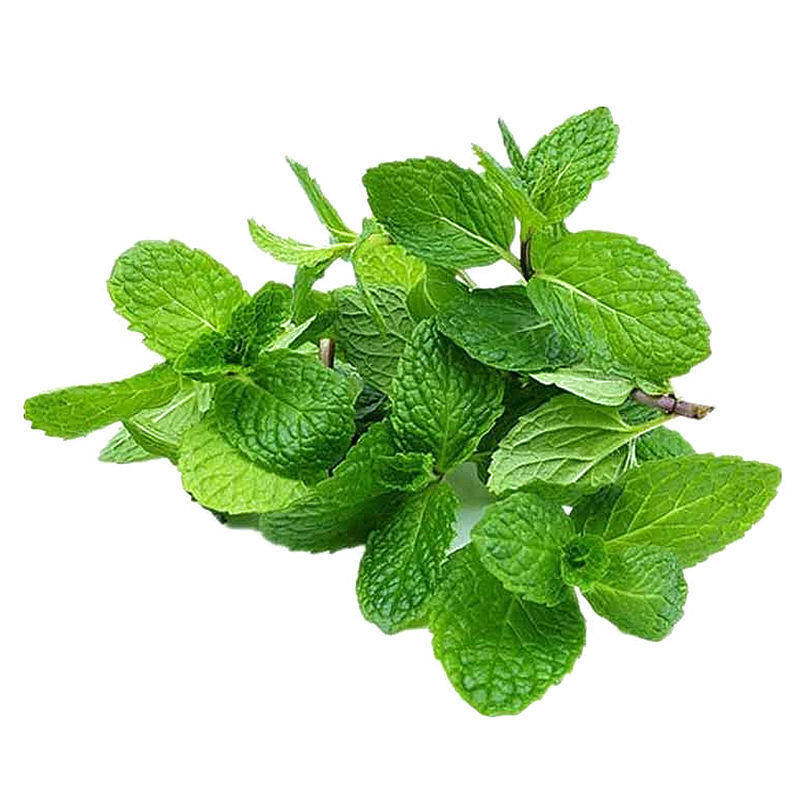 薄荷叶新鲜云南留兰香可食用泡水调酒香料烘焙奶茶西餐装饰