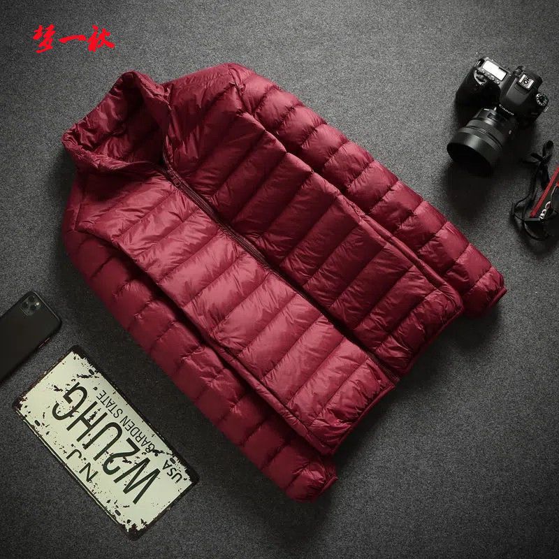 Cotton-Padded Clothes Stall Wholesale off-Season Men's Lightweight down Men's Stand Collar Coat Hooded Youth Casual Middle-Aged and Elderly