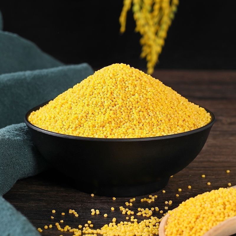 甘肃高原特产小黄米糯小米月子米宝宝米黄小米粗米五谷杂粮小米粥