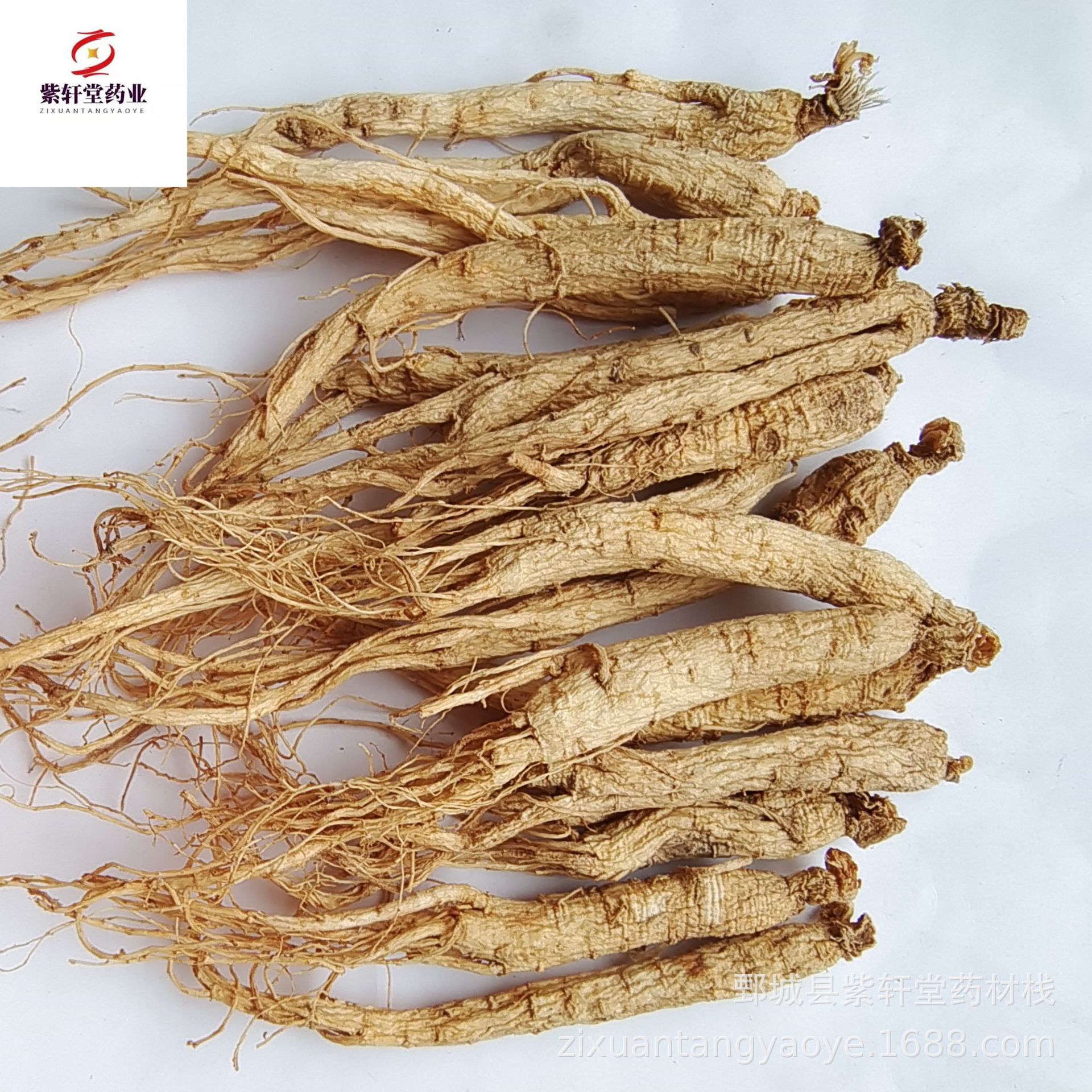 【紫轩堂】人参个500g新货上市 量大从优实物拍摄中药材批发白参