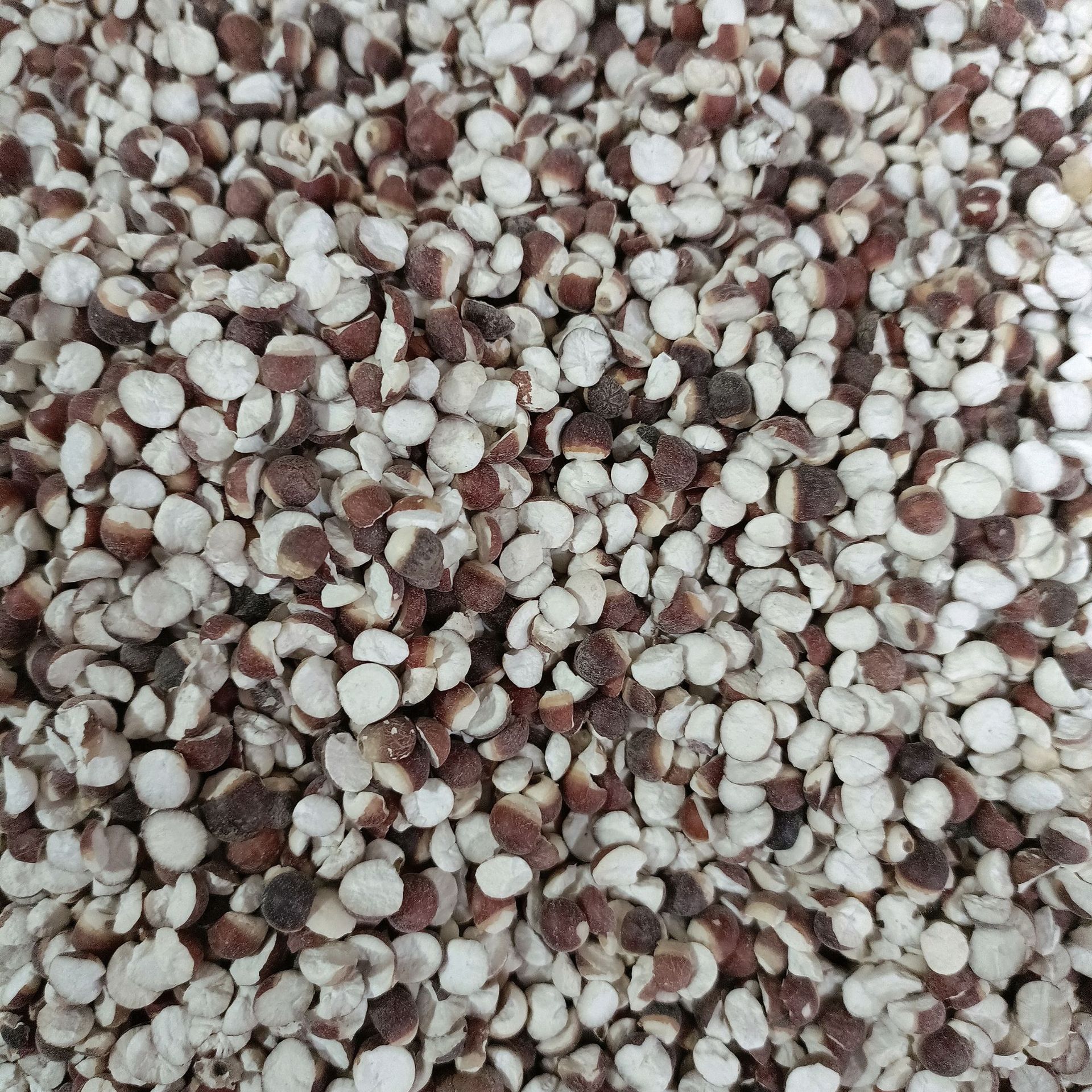 芡实批发 药食同源五谷杂粮 鸡头米芡实煲汤芡实瓣干货农产品新货