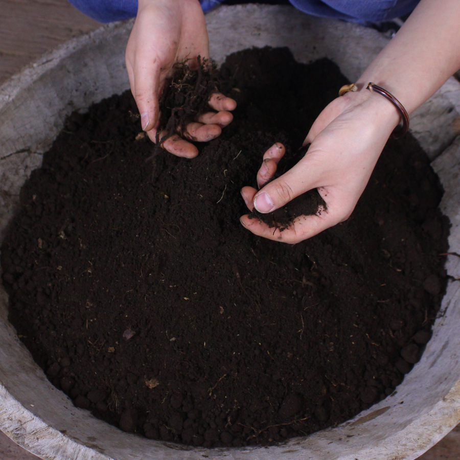 云南深山黑土保湿营养土山乌龟用土花土种植土腐殖土草炭土多肉土