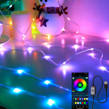 2022新品幻彩USB皮线灯灯串手机蓝牙声控流水房间装饰圣诞节彩灯