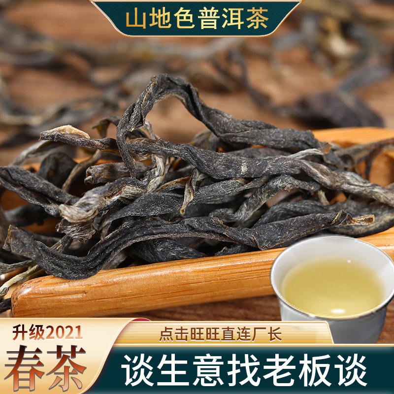 山地色2021云南大叶种普洱茶散装晒青生茶500g西半山老树茶生普洱