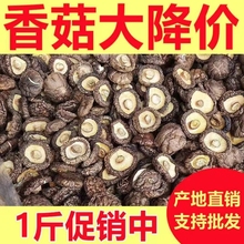 2023新货香菇干货家用小蘑菇冬菇营养菌菇类干货炖汤炒菜