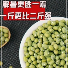 绿豆新鲜毛绿豆5斤散装农家自种新绿豆笨绿豆夏季解暑绿豆汤 250g