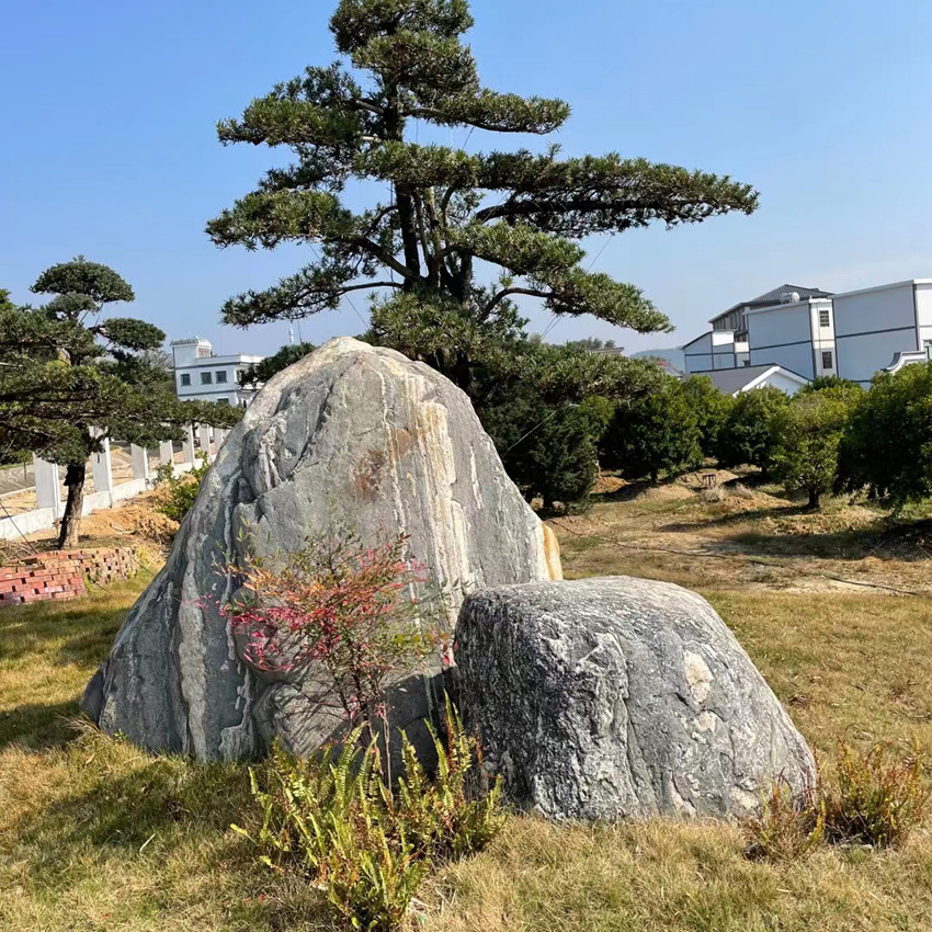 小泰山石泰山石景观石造型精美欢迎选购