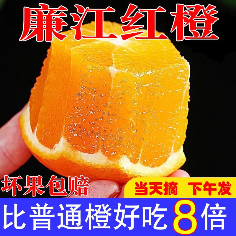 广东廉江红橙红江橙廉江发货湛江特产橙子新鲜薄大果皮精选礼盒装