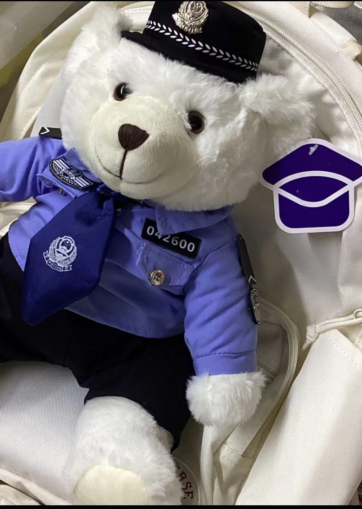 交警小熊玩偶毛绒玩具网红警察小熊公仔铁骑公安官交通泰迪熊娃娃