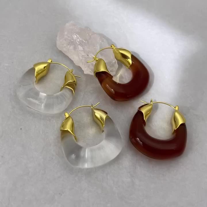 Amber European and American Exaggerated and Personalized Fashionable Retro Acrylic Ear Ring U-Shaped Earrings Women's Niche High-Grade Earrings