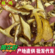 【黄牛肝】云南特产白葱菌黄牛肝菌干片黄行菇菌菇干货 批发 代发