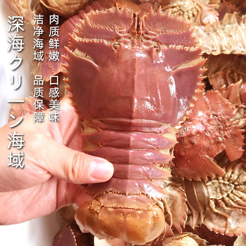 琵琶虾鲜活新鲜大九齿扇虾超大冷冻东海虾姑 2000g年货-阿里巴巴