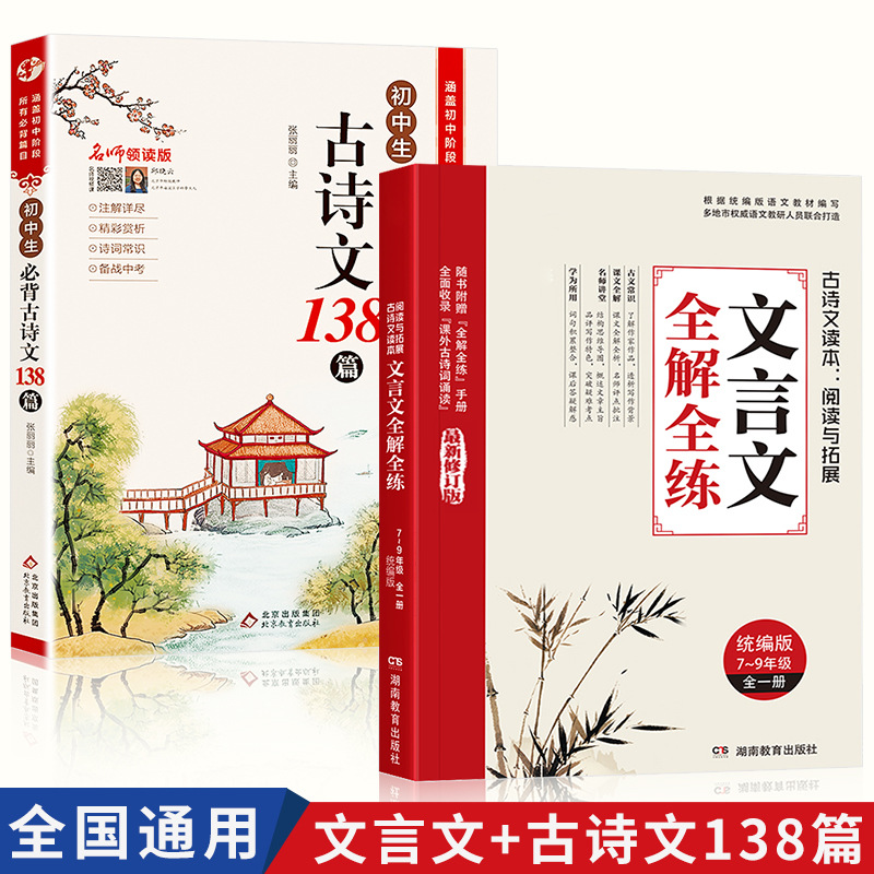 文言文全解全练7-9年级初中生中考阅读练习专项训练同步教材