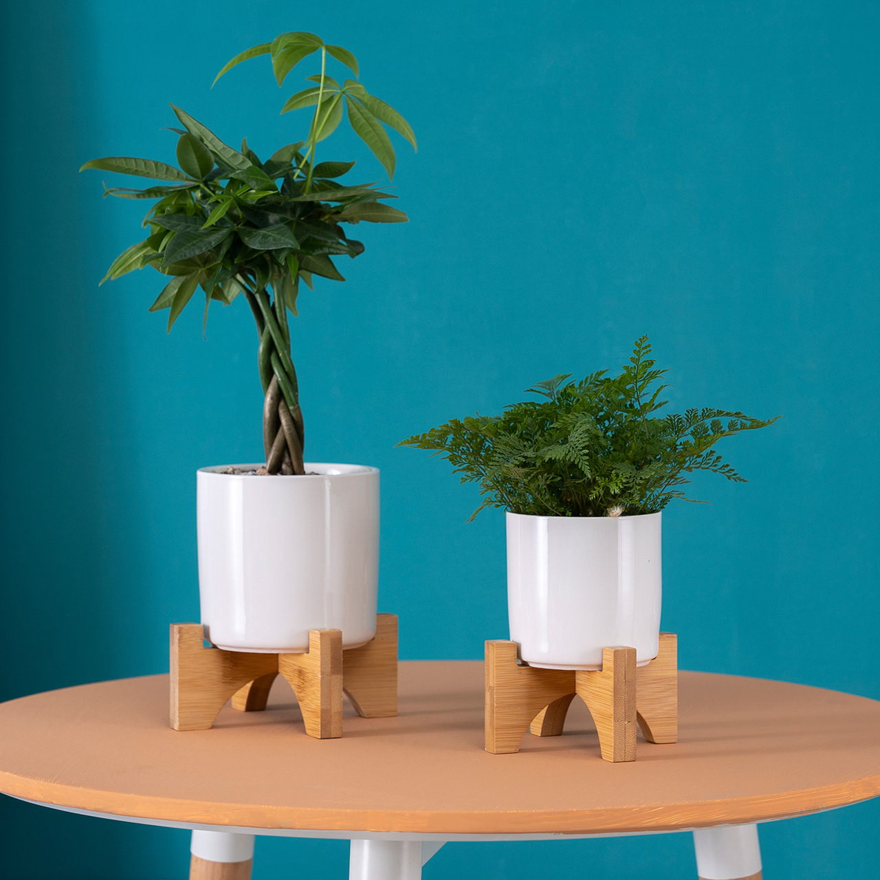 简约白色创意桌面方形陶瓷花器带竹托盘多肉植物花盆套装工厂批发