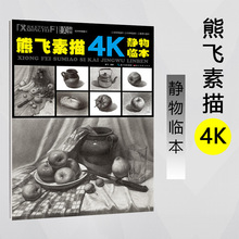 熊飞素描4K静物临本 美术绘画书籍技法结构联考校考临摹范本画初