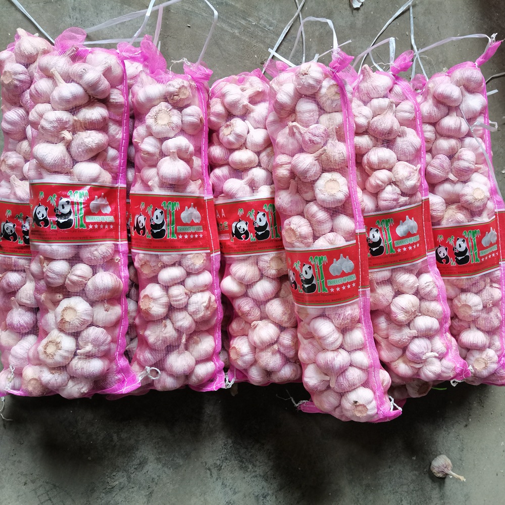 洋葱大蒜头