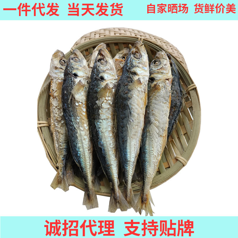 晒场直供即食日晒淡干巴浪鱼波浪鱼池鱼干海鲜干货阳江特产批发