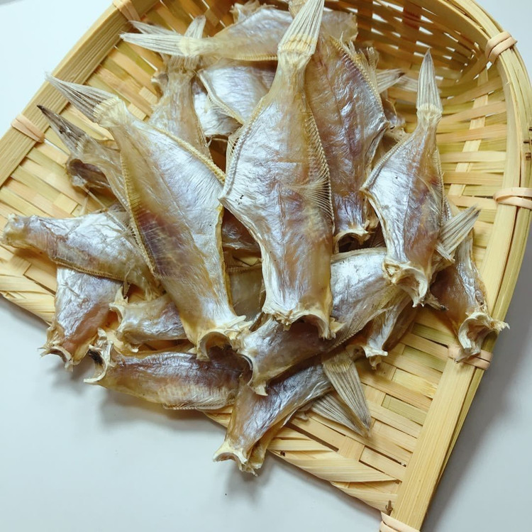 剥皮鱼干小扒皮鱼微咸鱼耗儿鱼马面鱼迪仔鱼广西北海特产新鲜一斤