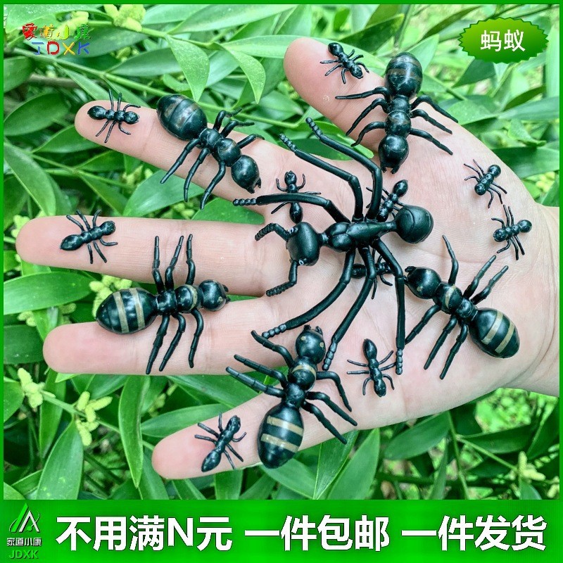 仿真大中小蚂蚁套装幼儿园儿童认知过家家玩具静态假昆虫动物模型
